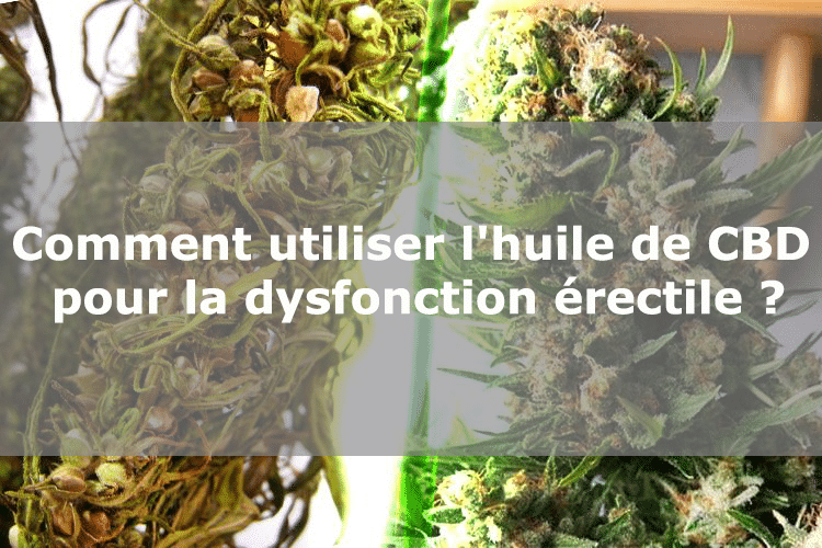 CBD et dysfonction érectile