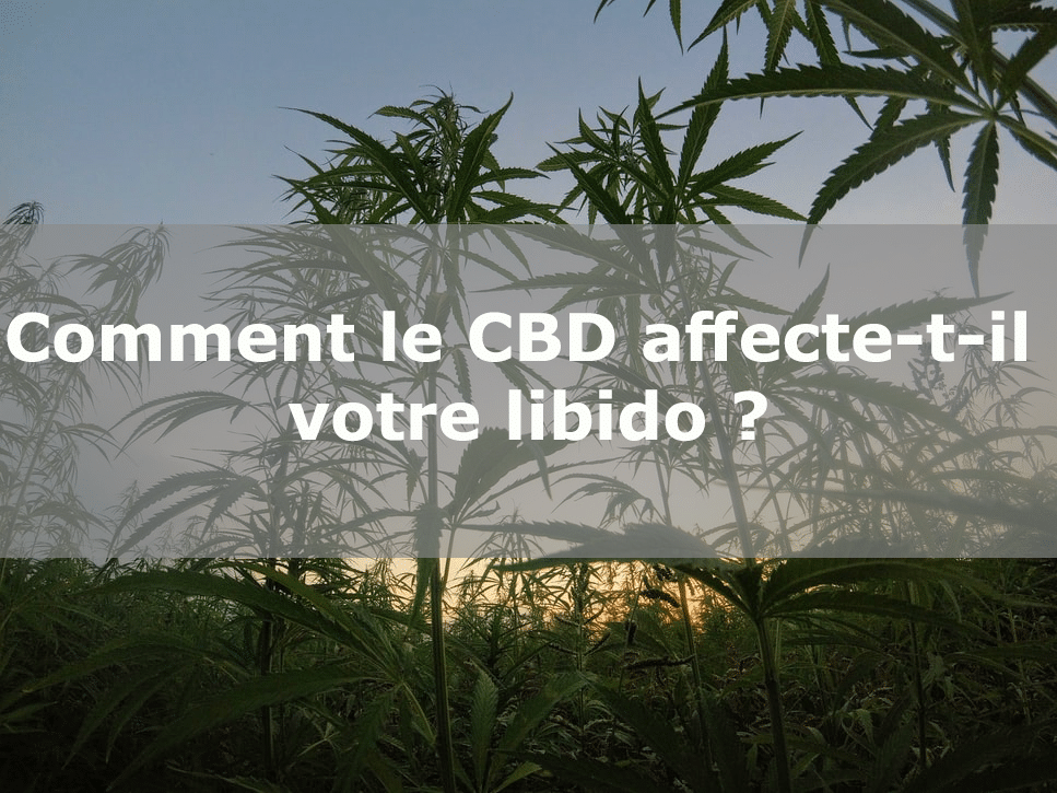 CBD et libido
