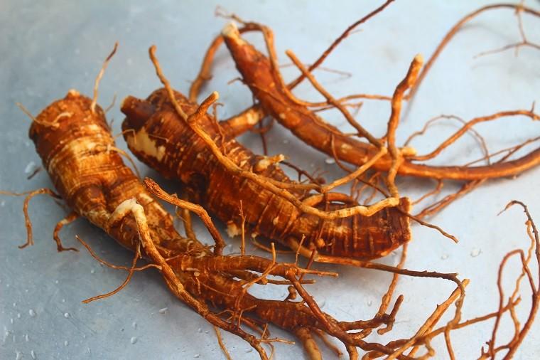 Le Ginseng rouge de corée et la sexualité masculine